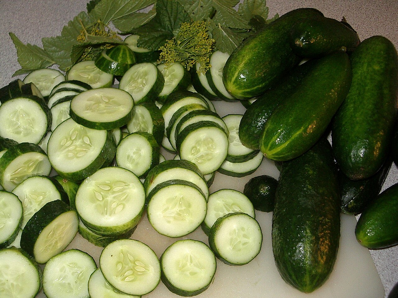 Огурцы короткоплодные